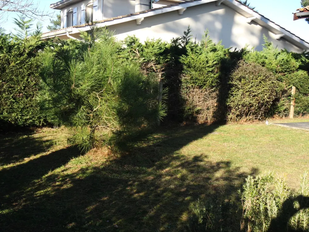 Maison de Vacances Gujan-Mestras 18