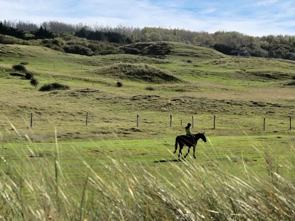 Maison de Vacances Hauteville sur Mer