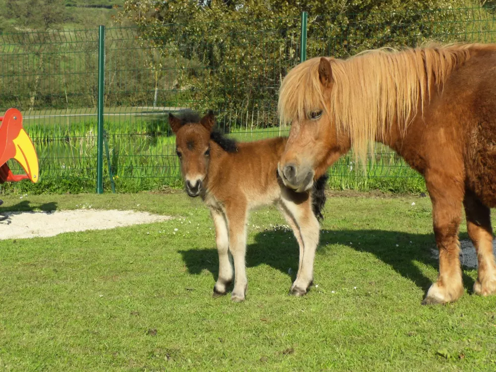 Camping Le Marqueval 4 étoiles★★★★