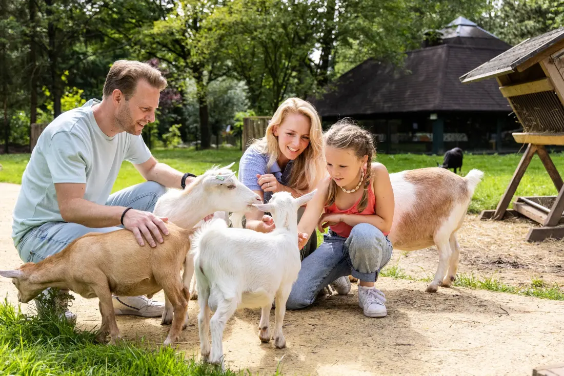 Domaine Het Heijderbos Center Parcs