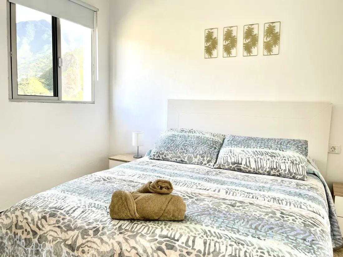 Maison de Vacances Hermigua 4