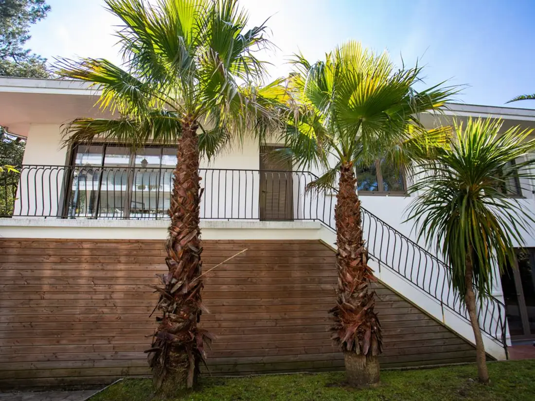 Maison de Vacances HOSSEGOR 120