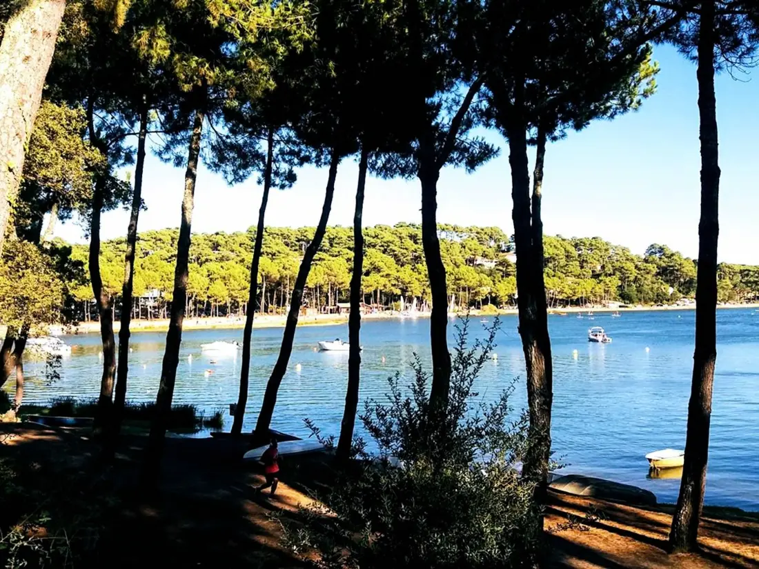 Maison de Vacances HOSSEGOR 123