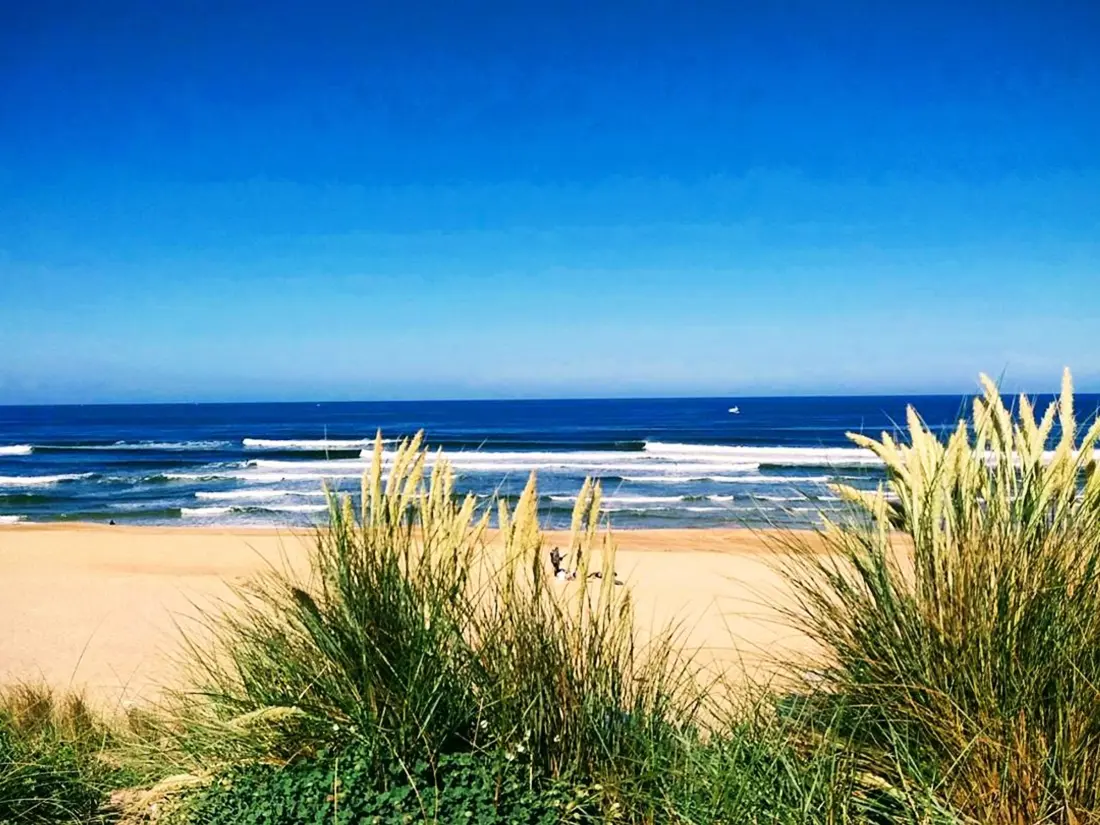 Maison de Vacances HOSSEGOR 123