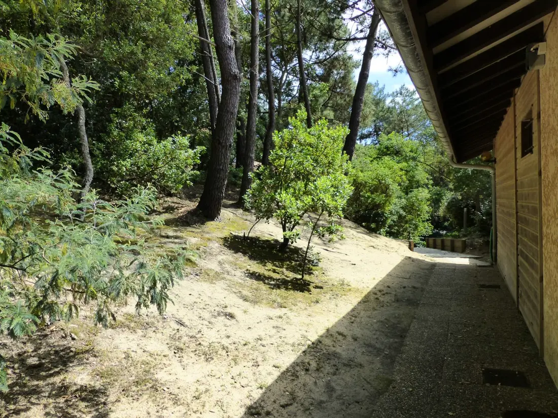 Résidence Les Dunes