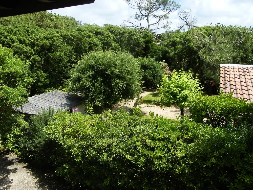Résidence Villa Aire Ona