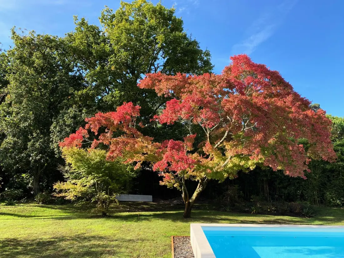 Résidence Villa Baradarena