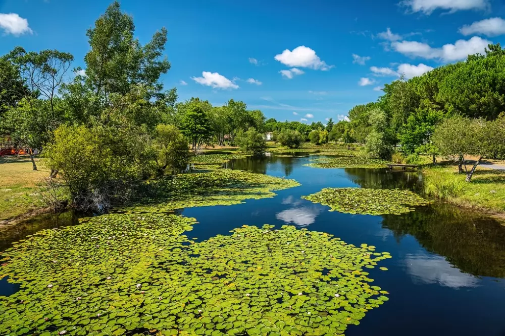 Camping L'Orée du Bois 41 étoiles★