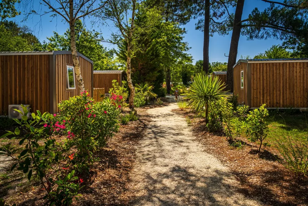 Camping L'Orée du Bois 41 étoiles★