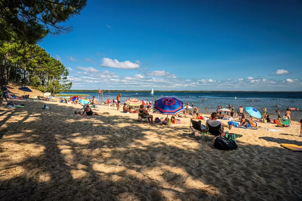 Camping L'Orée du Bois 41 étoiles★