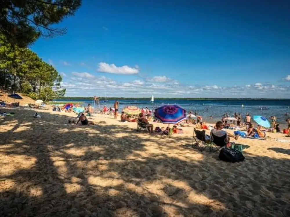 Camping L'Orée Du Bois 4 étoiles★★★★