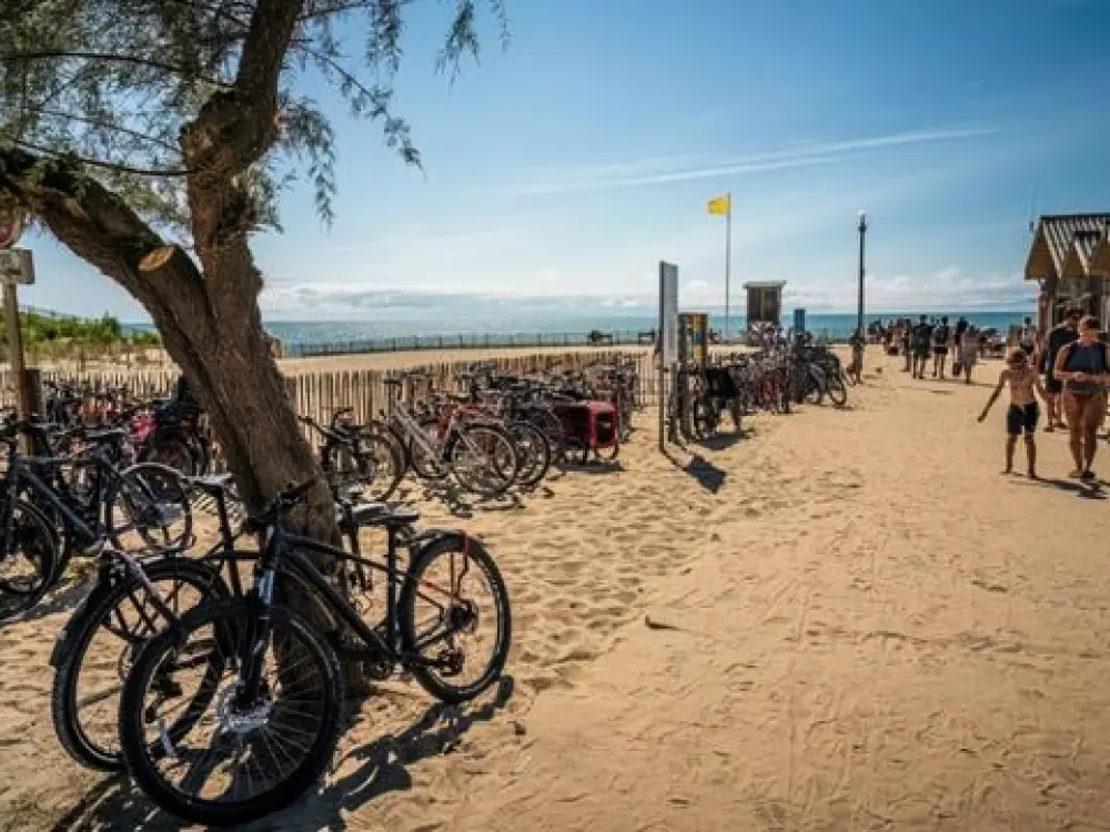 Camping L'Orée Du Bois 4 étoiles★★★★