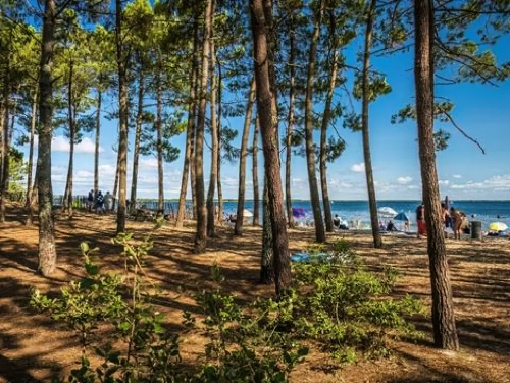 Camping L'Orée Du Bois 4 étoiles★★★★