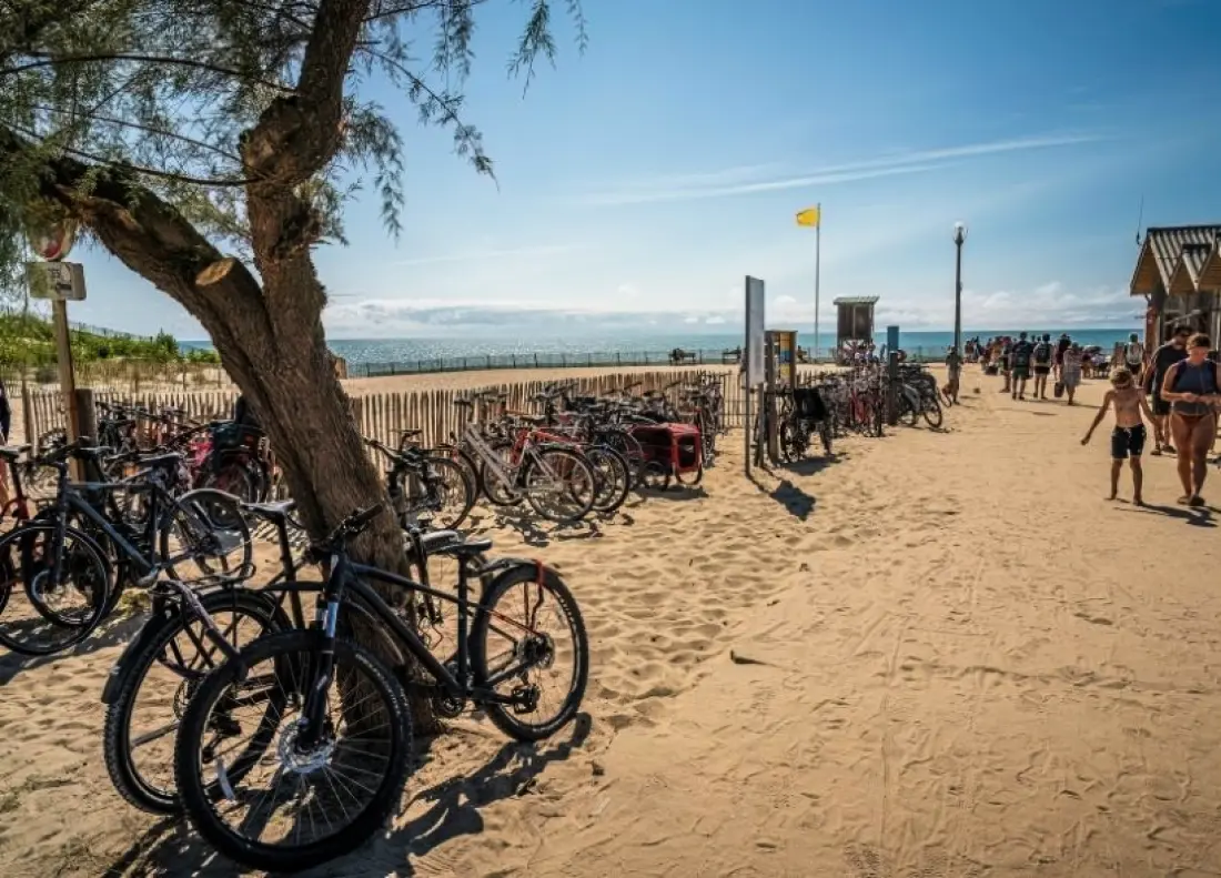 Camping l'Orée du Bois 4 étoiles★★★★
