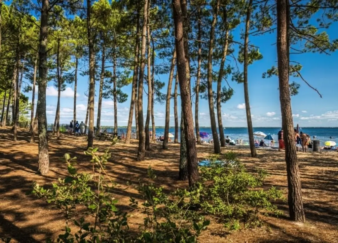 Camping l'Orée du Bois 4 étoiles★★★★