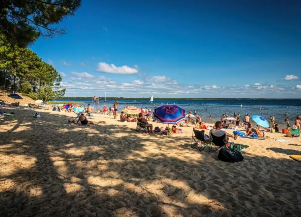 Camping l'Orée du Bois 4 étoiles★★★★