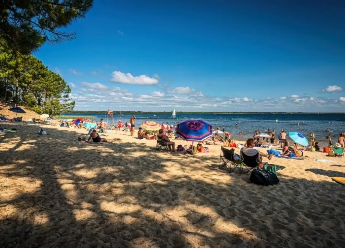 Camping l'Orée du Bois 4 étoiles★★★★