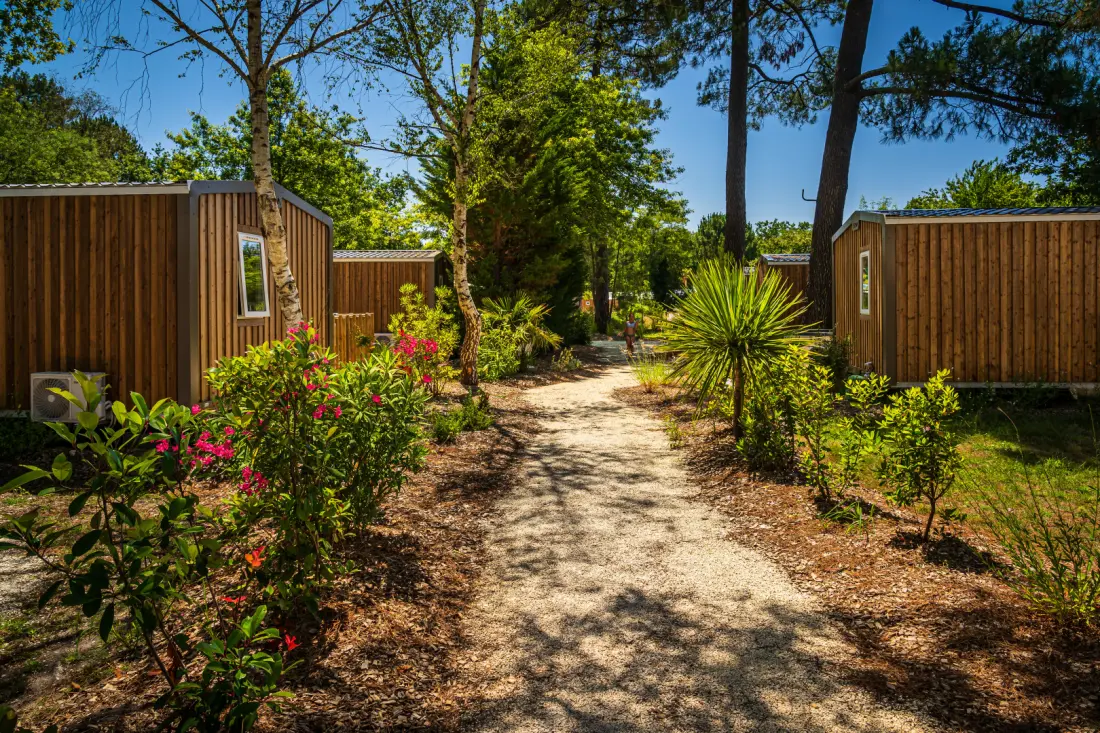 Camping l'Orée du Bois 4 étoiles★★★★