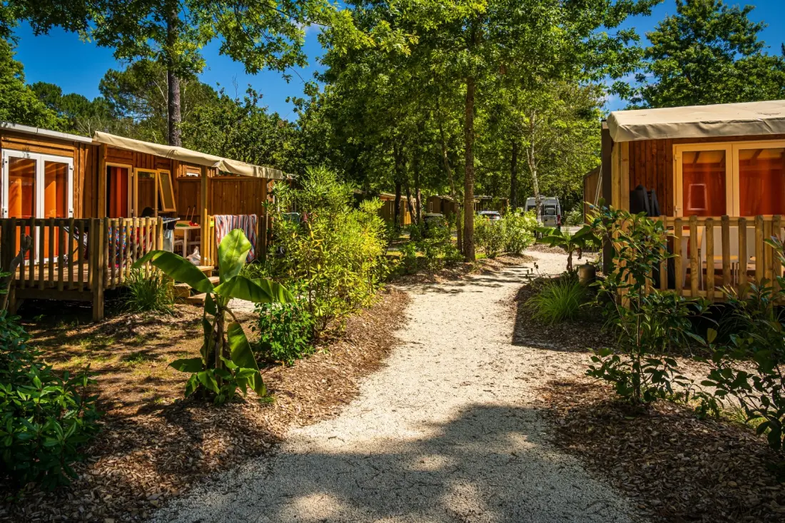 Camping l'Orée du Bois 4 étoiles★★★★