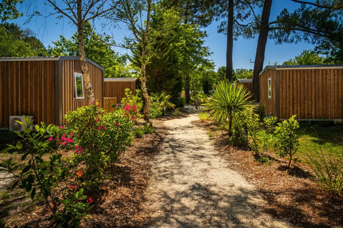 Camping l'Orée du Bois 4 étoiles★★★★