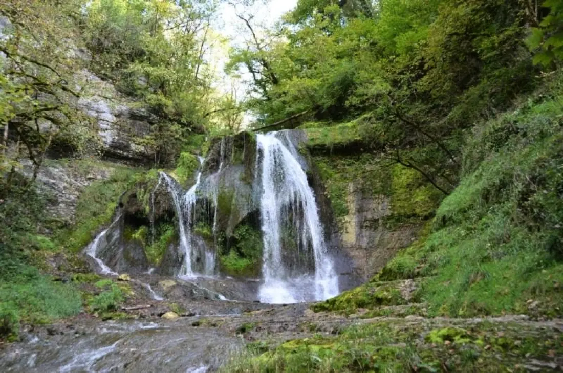 Camping Du Bois De Reveuge 4 étoiles★★★★