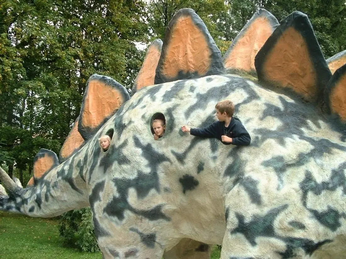Camping Du Bois De Reveuge 4 étoiles★★★★