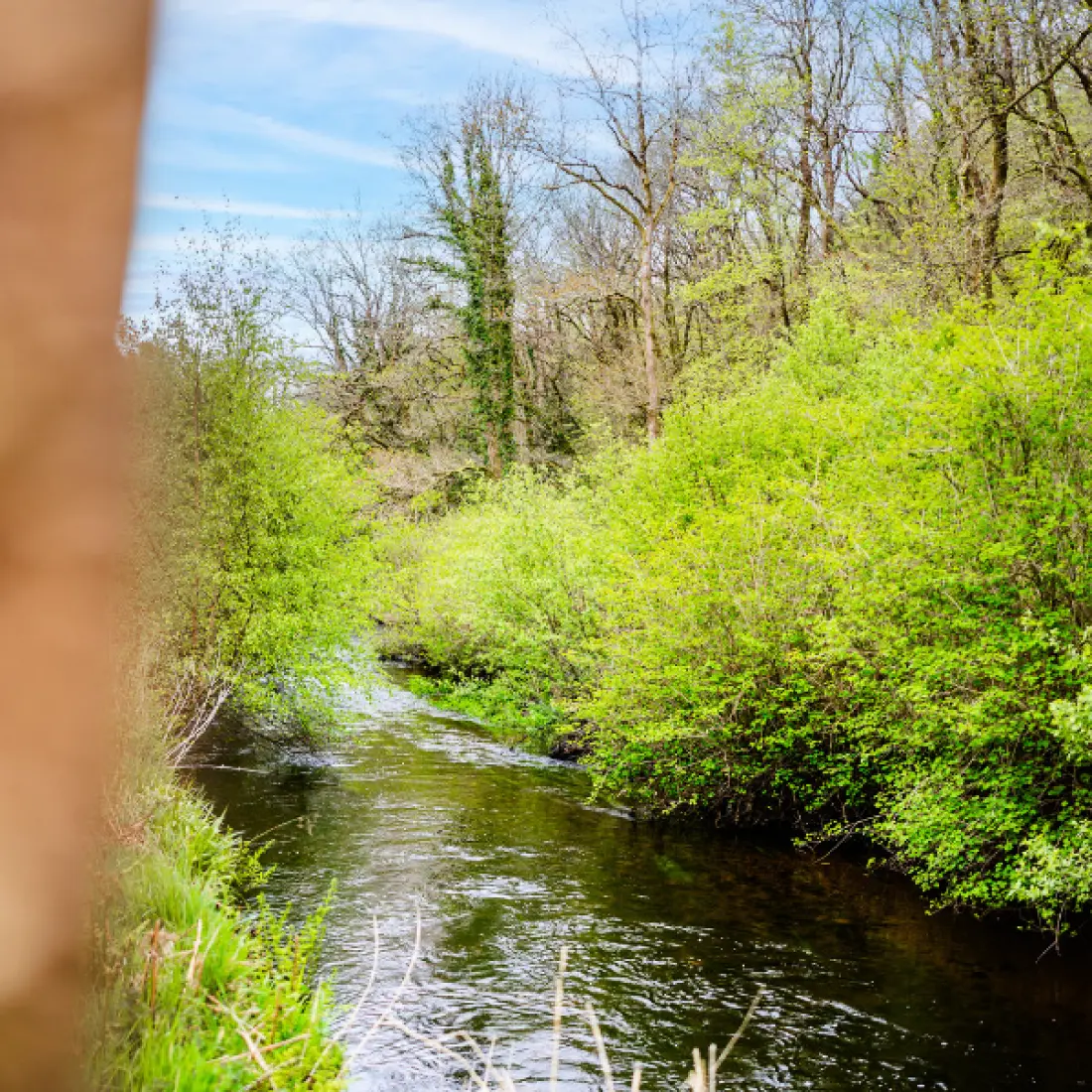 Camping La Rivière d'Argent 3 étoiles★★★