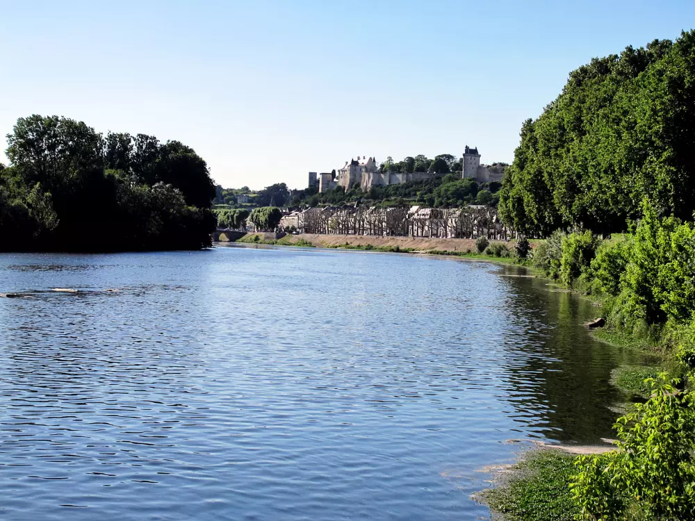 Maison de Vacances Huismes