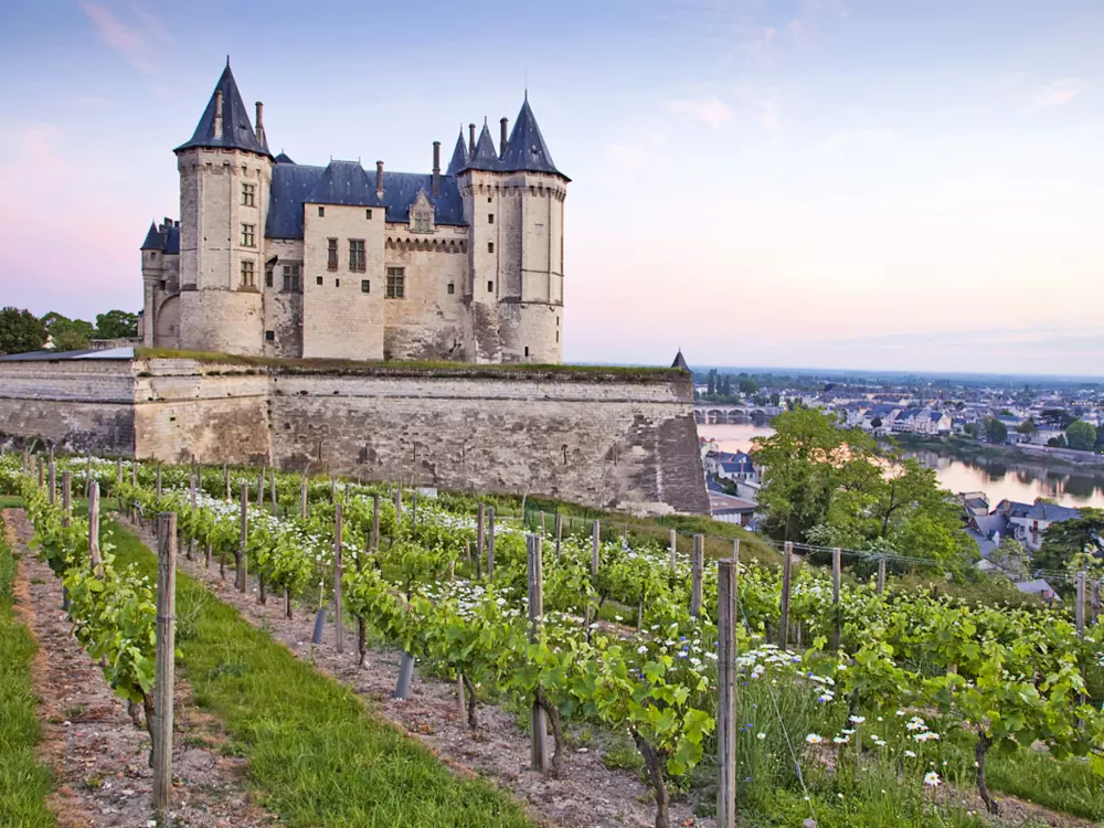 Maison de Vacances Huismes