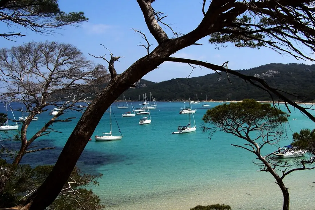 Camping l'Ile d'Or 3 étoiles★★★