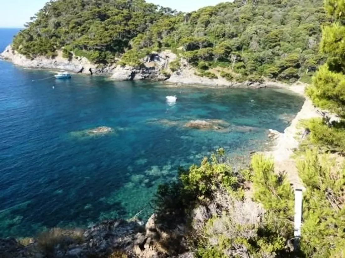 Location de Vacances Hyères 167