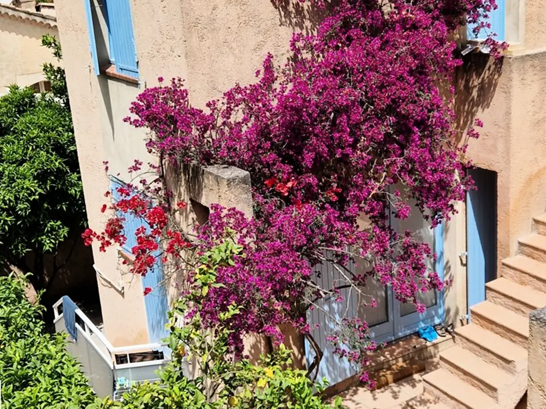 Location de Vacances Hyères 167