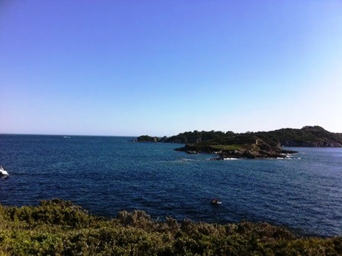 Location de Vacances Hyères 174