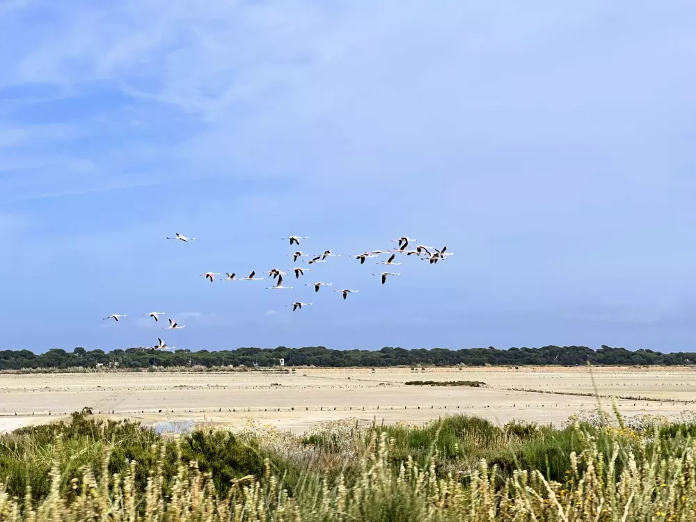 Résidence La Gavine