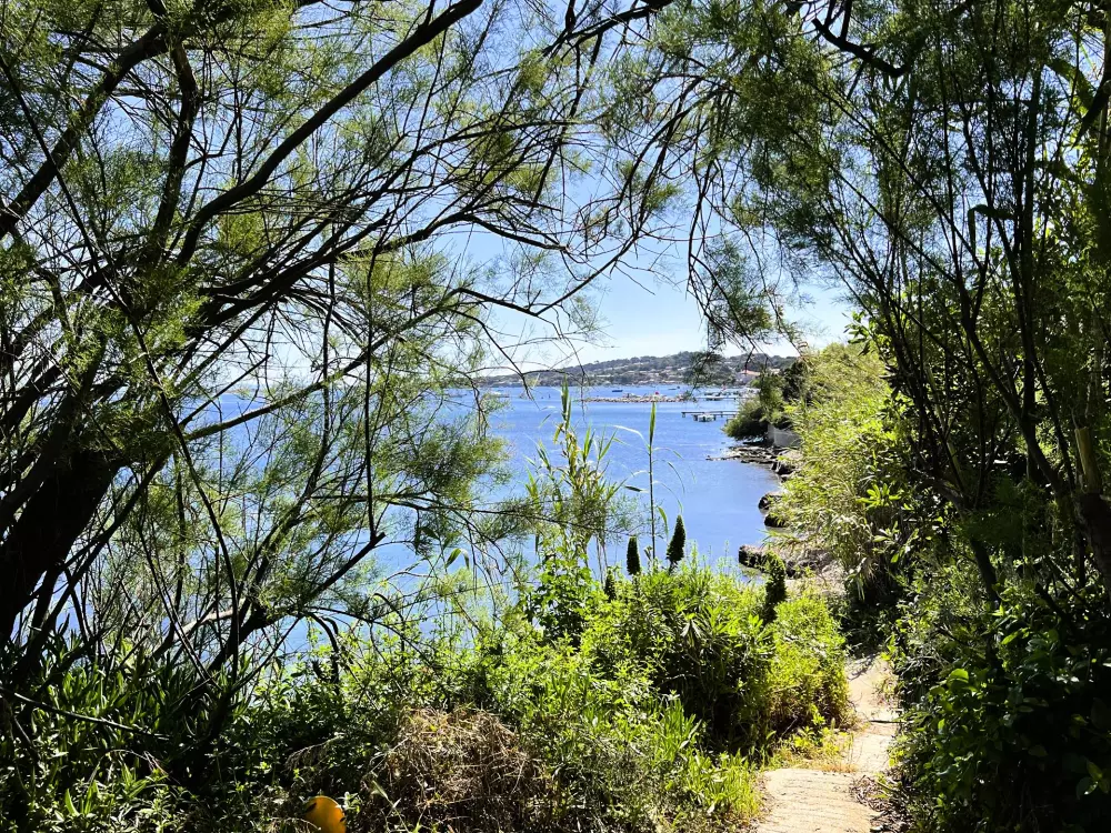 Résidence Le Cabanon-hyeres