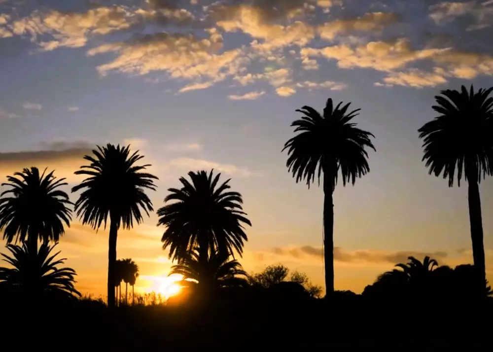 Résidence Le Cabanon-hyeres