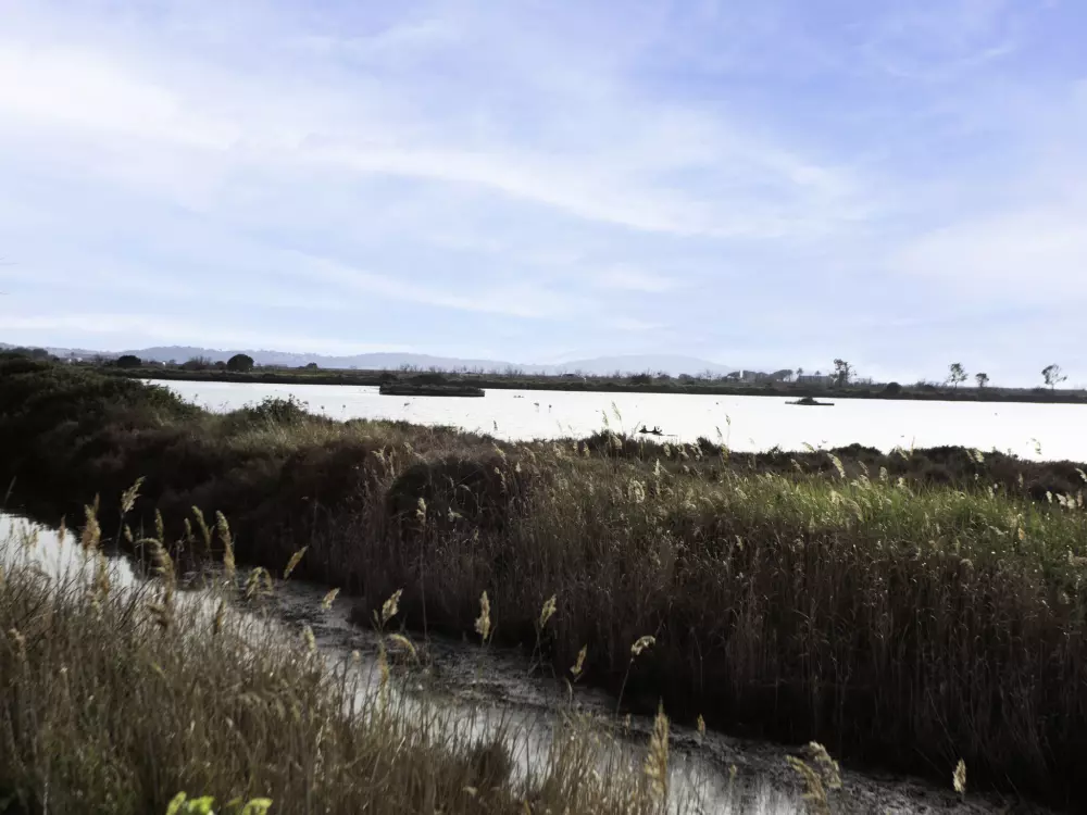 Résidence Le Clinfoc