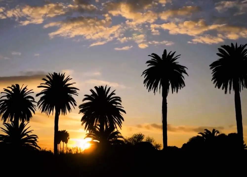Résidence Le Palm -hyeres