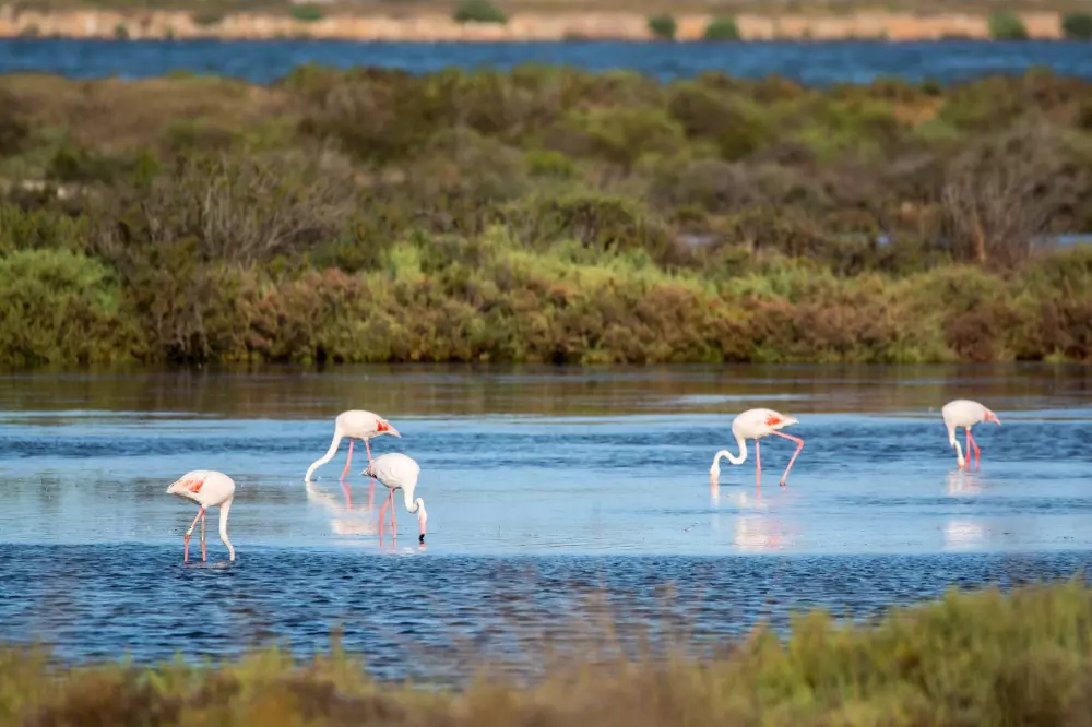 Résidence Le Zodiaque Ii