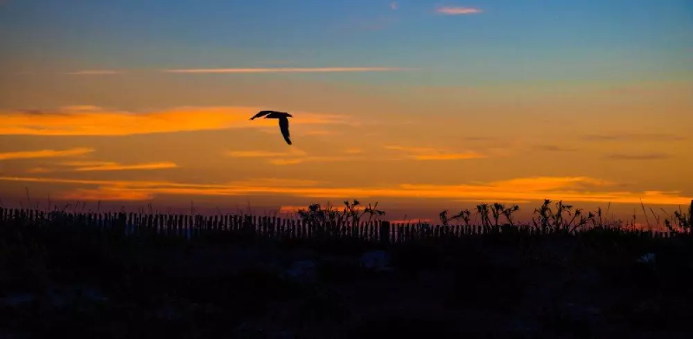 Résidence Les Marines Du Levant