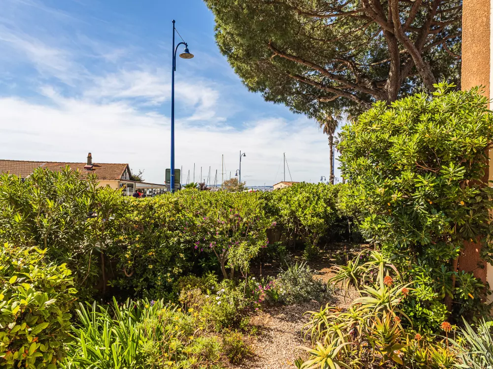 Résidence Les Palmiers