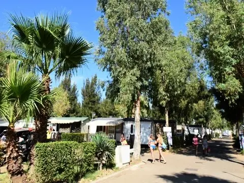 Camping Tikayan Les Palmiers  4 étoiles★★★★