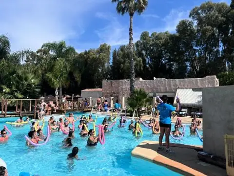 Camping Tikayan Les Palmiers  4 étoiles★★★★