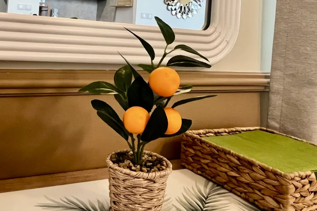 Appartement "dolce Vita Méditerranéenne"