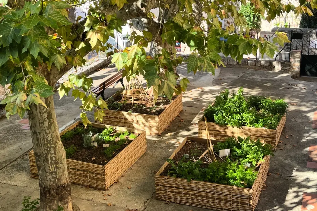 "la Piol" Au Cœur Du Vieux Centre De Hyères