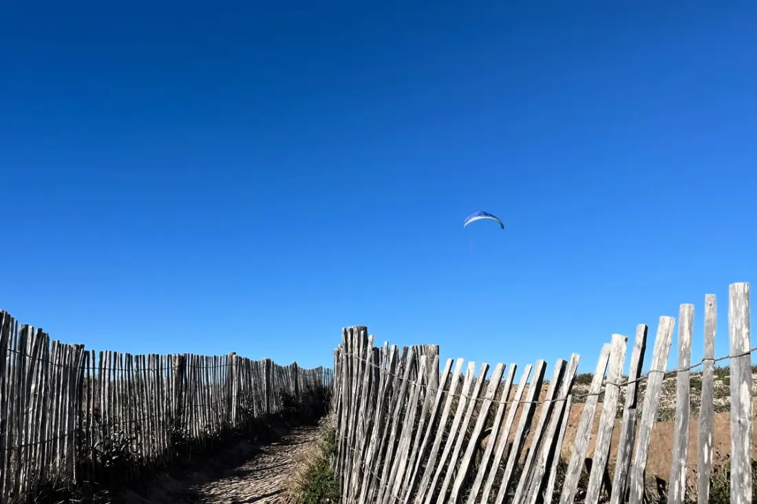 Le "petit Arbanais" à La Presqu'île De Giens