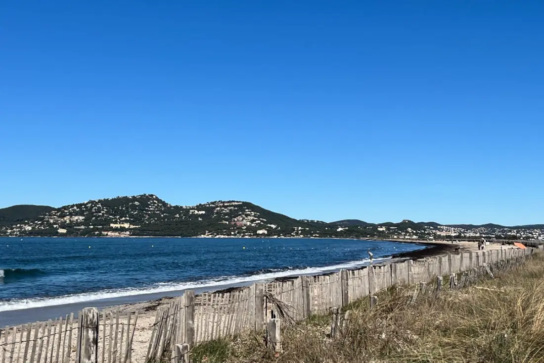 Le "petit Arbanais" à La Presqu'île De Giens