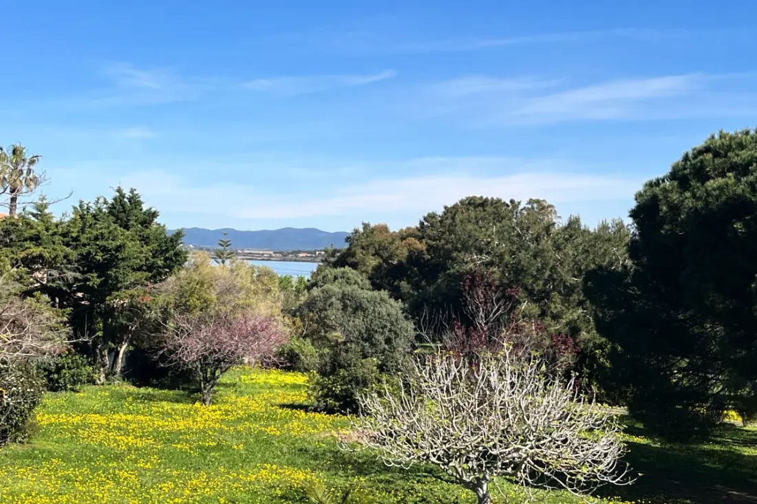 Le "petit Arbanais" à La Presqu'île De Giens