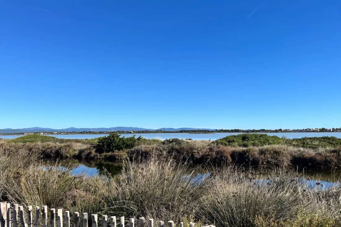 Le "petit Arbanais" à La Presqu'île De Giens