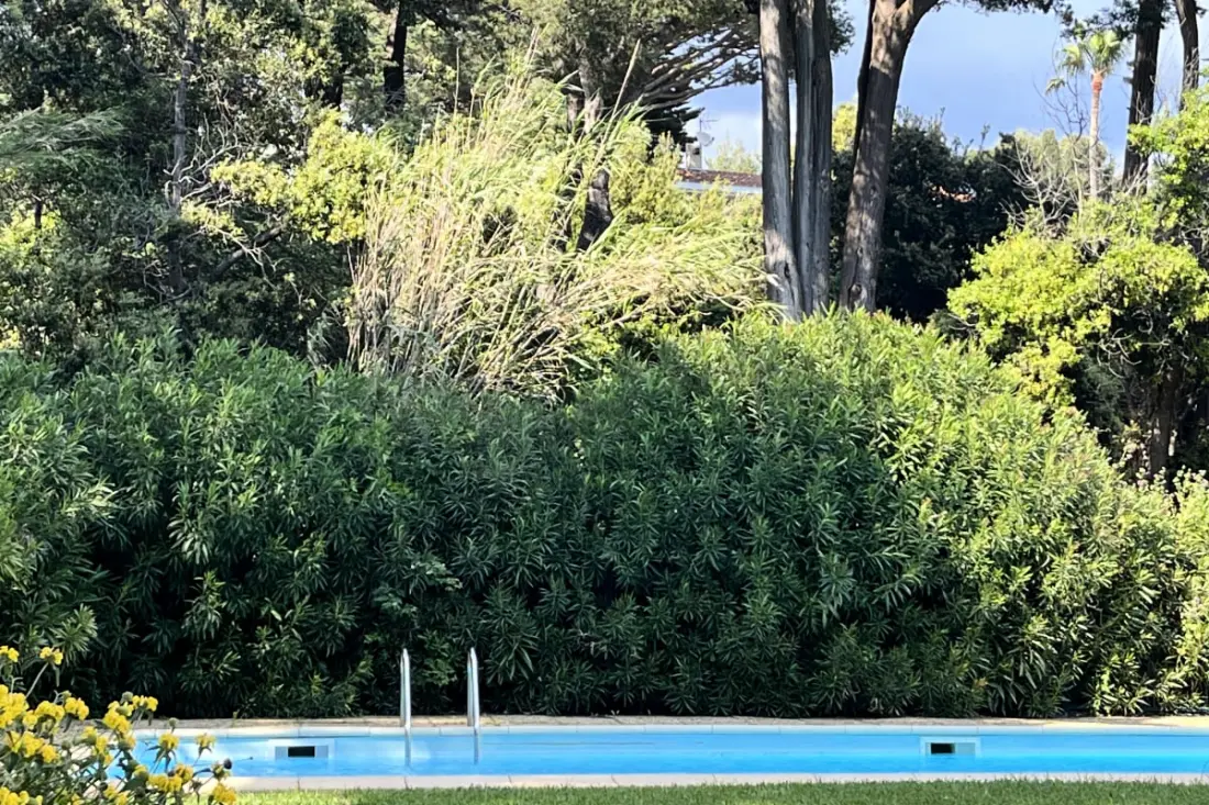 Villa "moana" Pieds Dans L'eau-presqu'Île De Giens